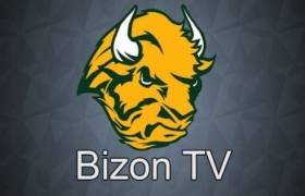 Бизон ТВ
