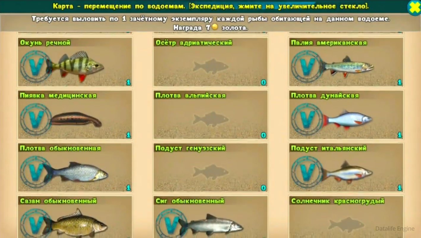 как быстрее всего заработать денег в игре русская рыбалка