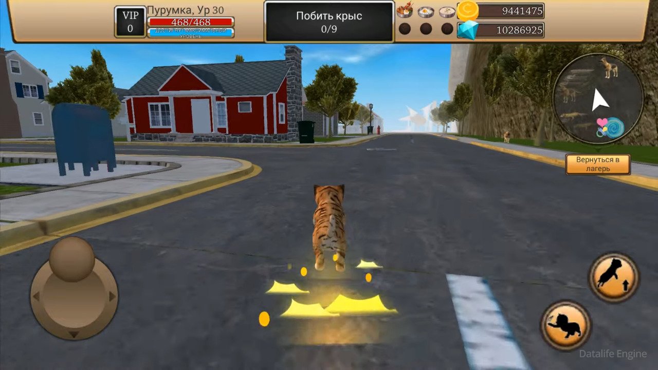 Звери мод много денег. Кастрадж семулятор на андроид. Файл " симулятор кота - жизнь животных взломанный (Mod. Симулятор кота мод меню.