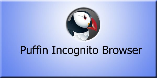 Puffin Incognito Browser